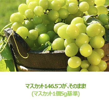 美酢 プチジェル美酢 食品 10本 おまけ1本新感覚 最大 セット割 Honda Com Pk