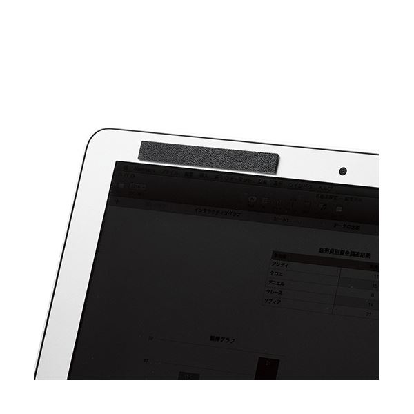 (まとめ）エレコム のぞき見防止フィルターマグネットタイプ(2way) 13.3Wインチ(16:9) 300×170mm EF-PFM133W2 1枚(×3セット)