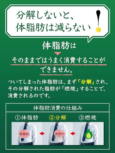 [トクホ]サントリー 伊右衛門 特茶 ジャスミン お茶 500ml×24本