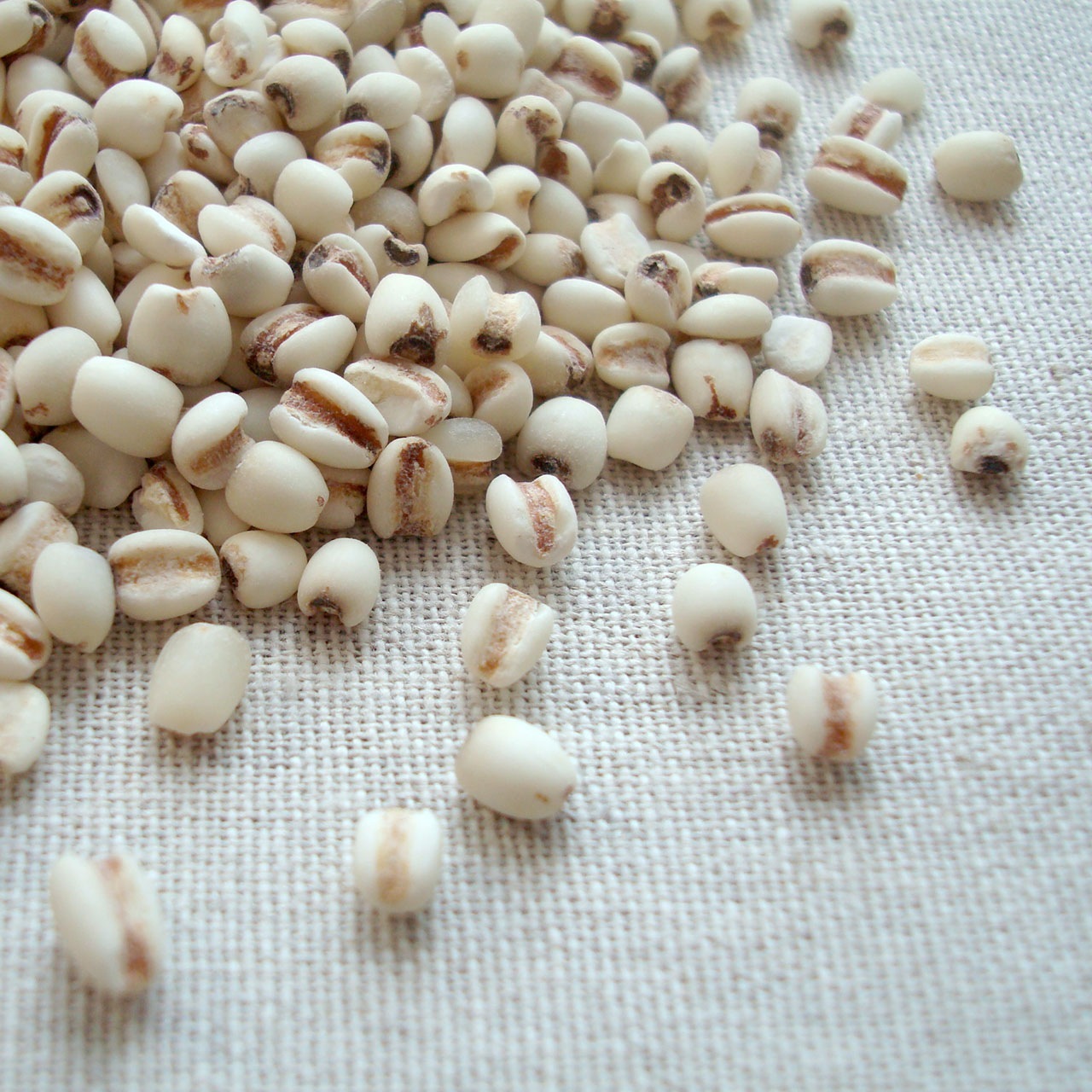 はと麦(ハトムギ) 1kg×6 岩手県産 チャック付き 倉庫直送 はと麦(ハトムギ) 1kg×6 岩手県産 チャック付き 倉庫直送