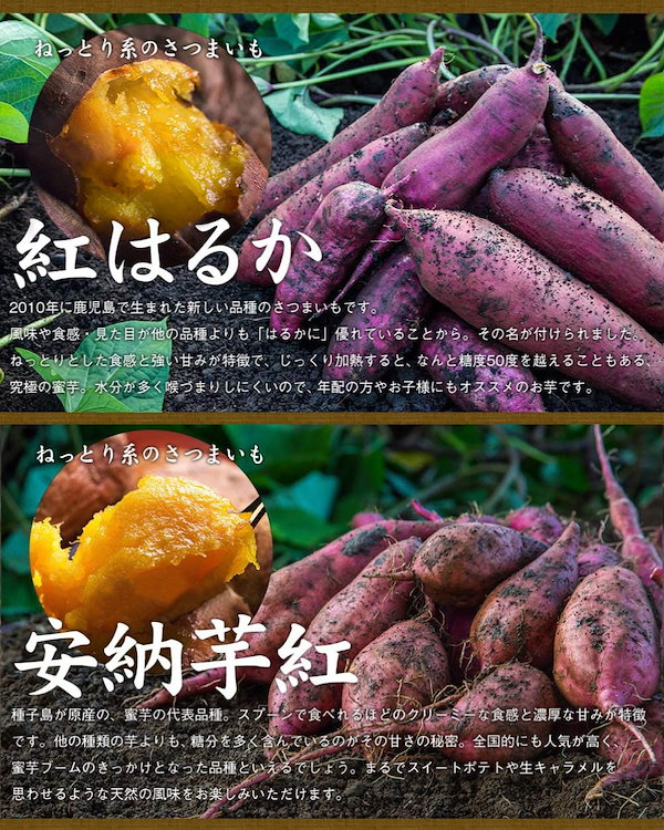 Qoo10] 薩摩 あま蜜 完熟焼き芋 紅はるか＆安納