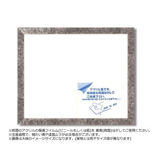 デッサン額 569B 太子(379×288mm) 銀柄紋 ポスター デッサン 水彩画 絵画 画用紙 UVカットアクリル 額 額縁 フレーム デッサン額 569B 太子(379×288mm) 銀柄紋 ポスター デッサン 水彩画 絵画 画用紙 UVカットアクリル 額 額縁 フレーム