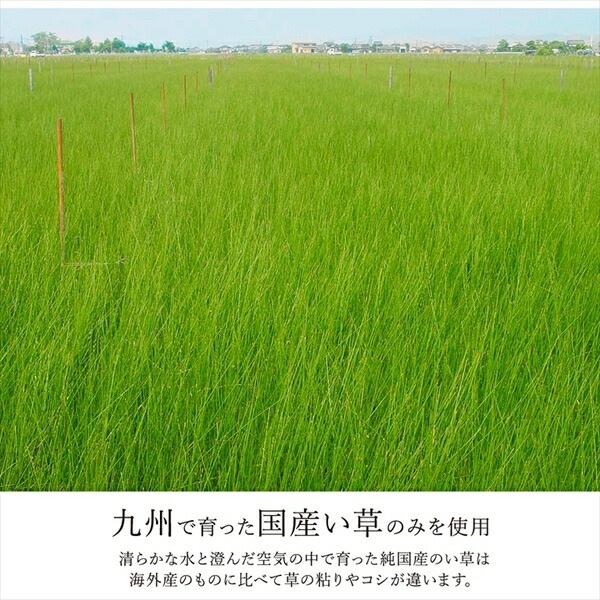 い草 カーペット ござ 江戸間3畳 約174x261cm ブラウン 防炎 抗菌 防臭 市松柄