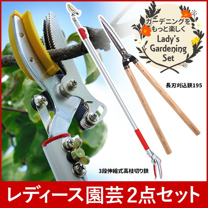 レディース園芸2点セット : ガーデニング・DIY・工具 3段伸縮式高枝... 超激安人気