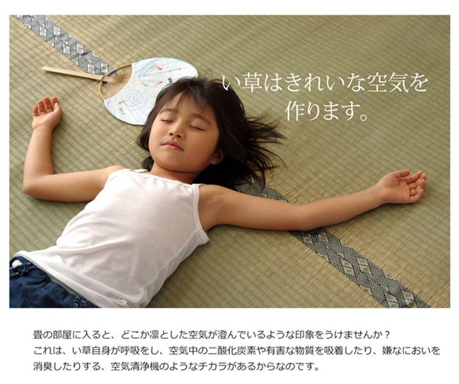 い草カーペット 畳の上敷き 江戸間 6畳 約261x352cm 畳の上に敷くもの 畳カバー 抗菌 防臭 国産 日本製 い草カーペット 畳の上敷き 江戸間 6畳 約261x352cm 畳の上に敷くもの 畳カバー 抗菌 防臭 国産 日本製