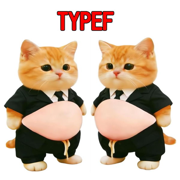 Qoo10] 「2枚入り」3D柴犬お腹ステッカー 3D