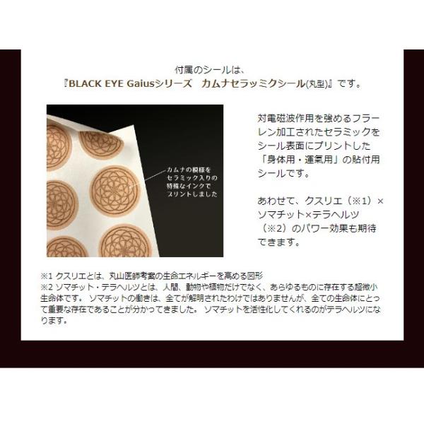 【送料無料】NEW ブラックアイ ナノ 6個入２箱セット【一般医療機器】【ポイント15％以上】電磁波防止で人気のブラックアイシリーズ新商品 電磁波防止 対策