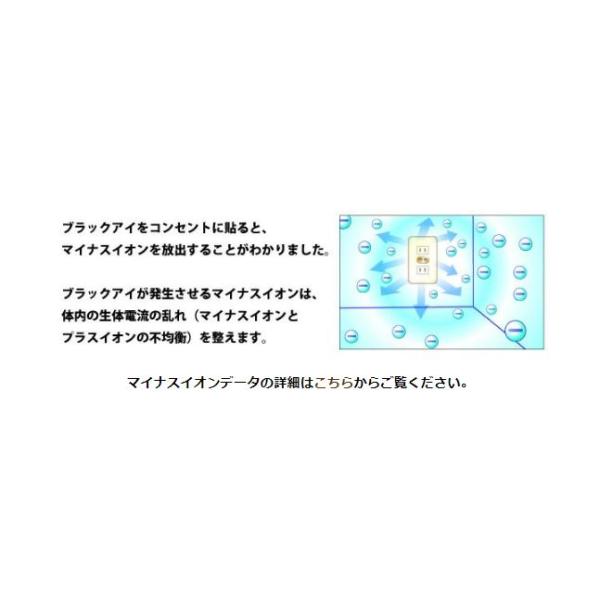 【送料無料】NEW ブラックアイ ナノ 6個入２箱セット【一般医療機器】【ポイント15％以上】電磁波防止で人気のブラックアイシリーズ新商品 電磁波防止 対策
