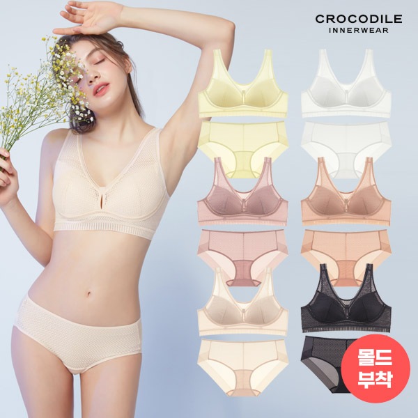 (クロコダイルインナー) エアリーフィットシースルーインプレッシブブラ+ショーツフルセット12枚セット (クロコダイルインナー) エアリーフィットシースルーインプレッシブブラ+ショーツフルセット12枚セット
