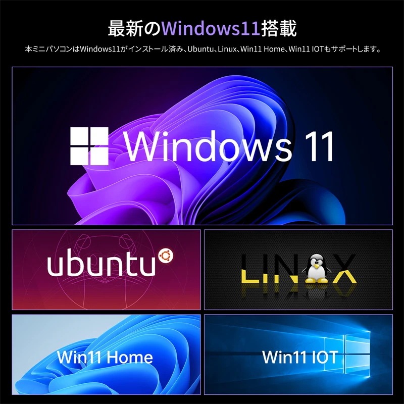 ミニPC Alder Lake N100 デスクトップpc ミニパソコン 4C4T 3.4GHz 16GB DDR4 1TB SSD 2画面出力 2TB増設 放熱静音 4K 小型pc