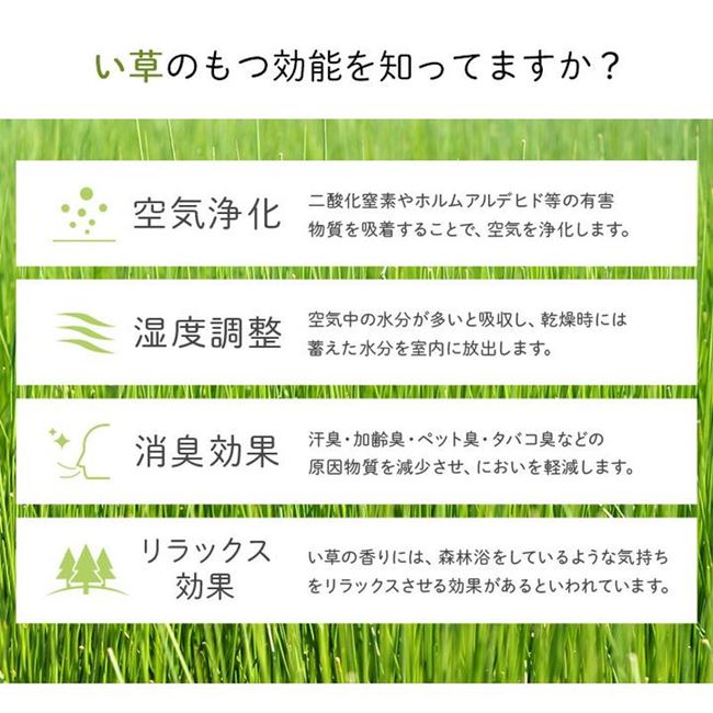 玄関マット 屋内 大きめ 70x120cm 夏用 国産 い草ラグ 袋三重織り おしゃれ キリム柄 滑り止め付き 玄関マット 屋内 大きめ 70x120cm 夏用 国産 い草ラグ 袋三重織り おしゃれ キリム柄 滑り止め付き