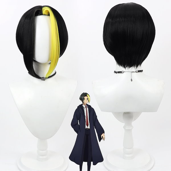 Qoo10] コスプレウィッグ フィン エイムズ マッ