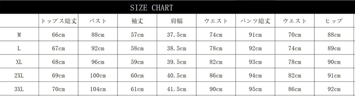 2点セット 入学式 ... : レディース服 長袖 パンツスーツ 日本製人気