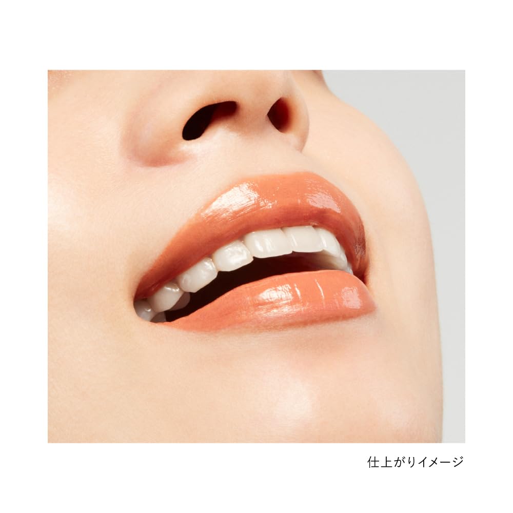 KANEBO(カネボウ) ルージュスターヴァイブラント V10 KANEBO(カネボウ) ルージュスターヴァイブラント V10