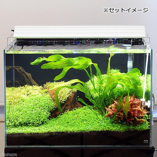 アクロ TRIANGLE LED GROW 600 3000lm