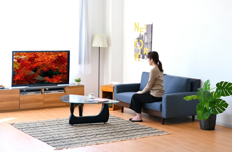 ソファ ソファー 2.5人掛け 3人掛け 幅165cm ファブリック張り コンパクトサイズ ブルー グレー