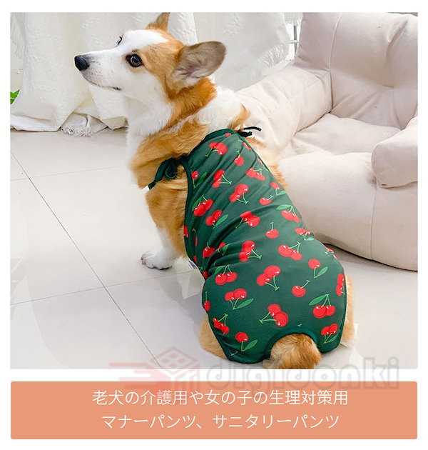 Qoo10] 犬用マナーウェア コーギー専用 柴犬専用