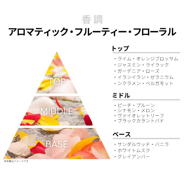 エンジェル オブ フローレンス EDC SP 50ml