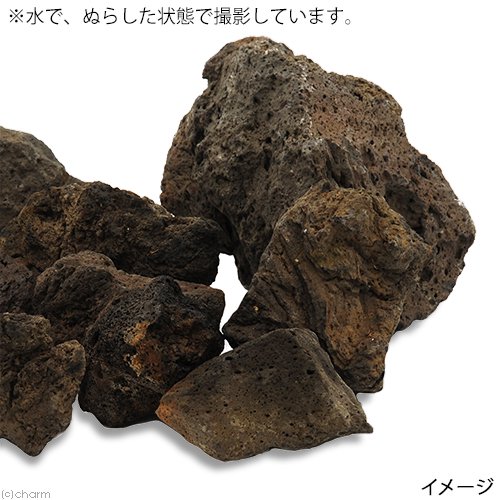 形状お任せ ラバロック ボール サイズミックス 10kg 溶岩石 60cm水槽向け アクアリウム レイアウト素材 CRC21―20―50―99―00 形状お任せ ラバロック ボール サイズミックス 10kg 溶岩石 60cm水槽向け アクアリウム レイアウト素材 CRC21―20―50―99―00