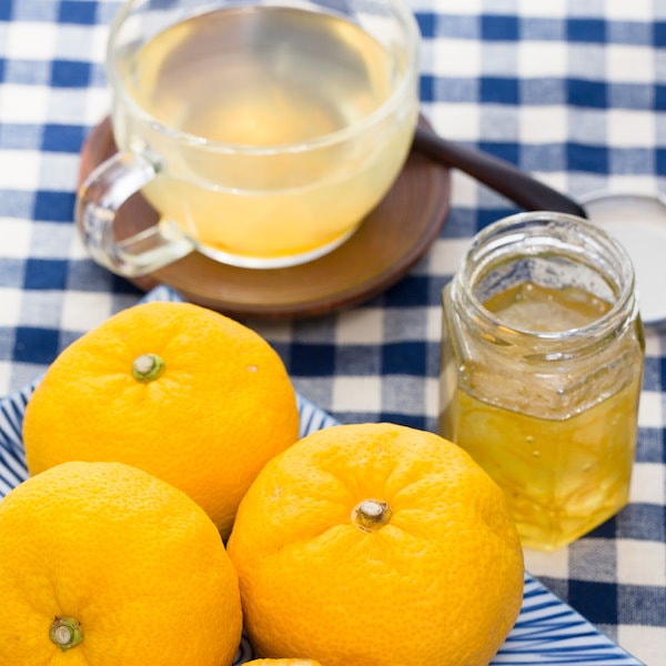 Qoo10] ノクチャウォン [緑茶園]蜂蜜ゆず茶1KG + 1KG