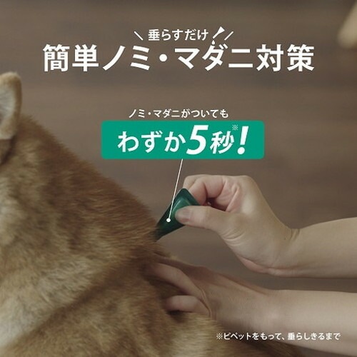 【2個セット】 フロントライン 犬用 S 5~10kg未満 6本入 ノミ 蚤 ダニ ハジラミ 駆除剤 駆除液 動物用医薬品 ペット用医薬品 超小型犬 小型犬 フロントラインプラスドッグ(代引不可)