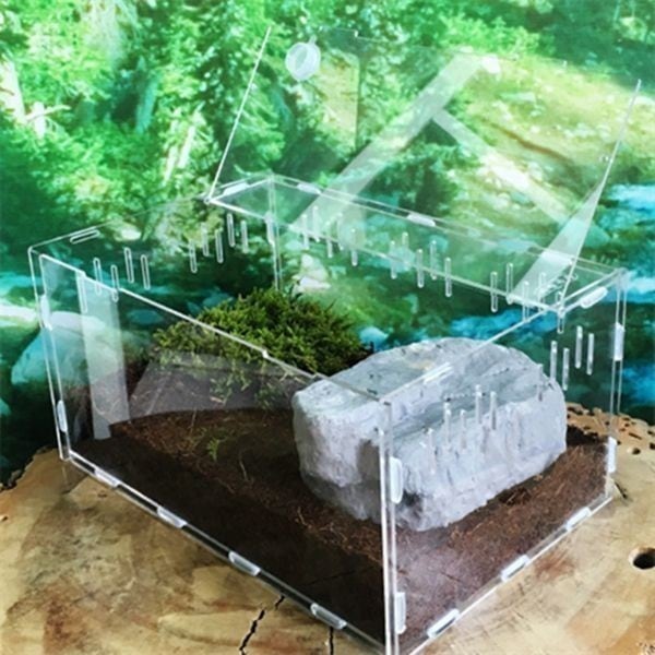 Qoo10] 爬虫類好きな方飼育ケース ケージ 虫 昆