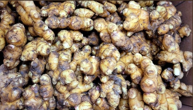 生姜 ジンジャーエキス 無糖 韓国産 ティー用 ボトルタイプ 250ml