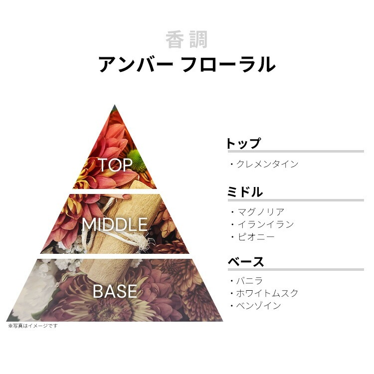 シグネチャー EDP SP 30ml シグネチャー EDP SP 30ml