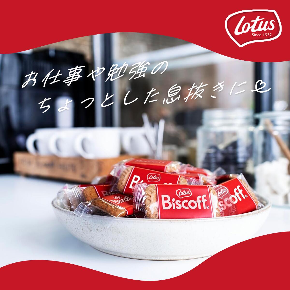 12個セット ロータス カラメルビスケット 50PX12 宅急便 12個セット ロータス カラメルビスケット 50PX12 宅急便