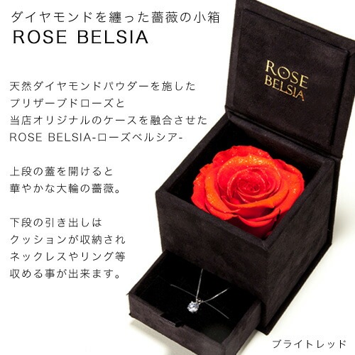 ネックレス 一粒 レディース プラチナ 18金 結婚記念日 プレゼント 妻 シンプル レディースネックレス アクセサリー 誕生日プレゼント 女友達 クリスマス ゴールド スワロフスキー 彼女 20代 ネックレス 一粒 レディース プラチナ 18金 結婚記念日 プレゼント 妻 シンプル レディースネックレス アクセサリー 誕生日プレゼント 女友達 クリスマス ゴールド スワロフスキー 彼女 20代