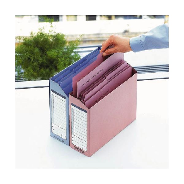 (業務用100セット) プラス ダンボックス BF10-A4-100 A4E 淡灰 まとめ）プラス ダンボックス BF10-A4-100 A4E ブルー×10セット