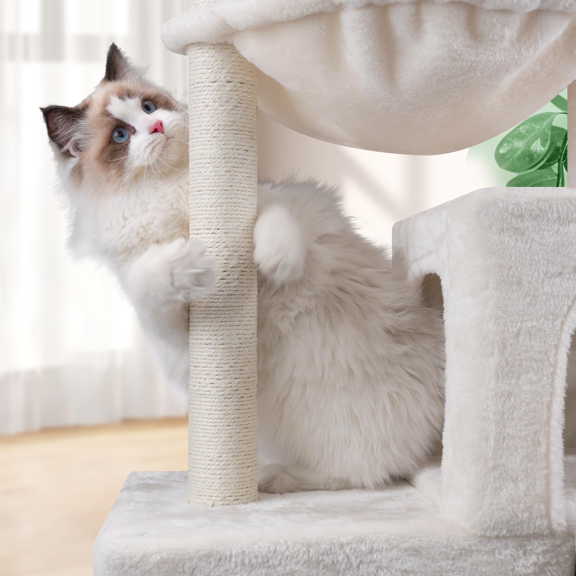Roypet キャットタワー 猫タワー 据え置き ハンモック 隠れ家 猫ハウス 省スペース 爪とぎ 麻縄巻き 安定 95CM高さ おもちゃつき (ベージュ) Roypet キャットタワー 猫タワー 据え置き ハンモック 隠れ家 猫ハウス 省スペース 爪とぎ 麻縄巻き 安定 95CM高さ おもちゃつき (ベージュ)