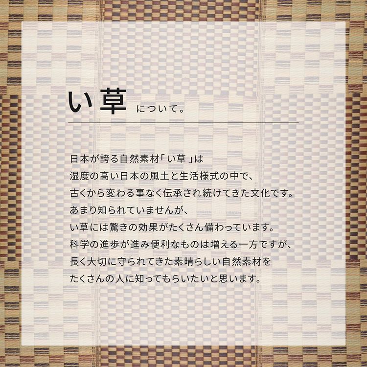 ラグマット 撥水 180×180cm 夏 い草 畳マット