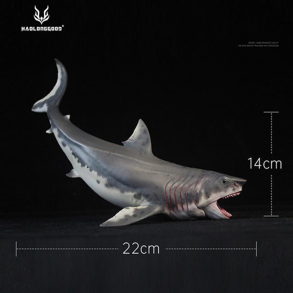 サメ Water jet! Letting the Samarasikon swim in the bathtub