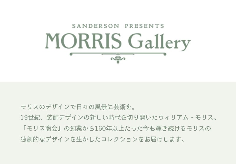 綿毛布 ブランケット シングル 綿100% モリスギャラリー 日本製 泉大津 冷房対策 コットンケット オールシーズン 洗える 国産