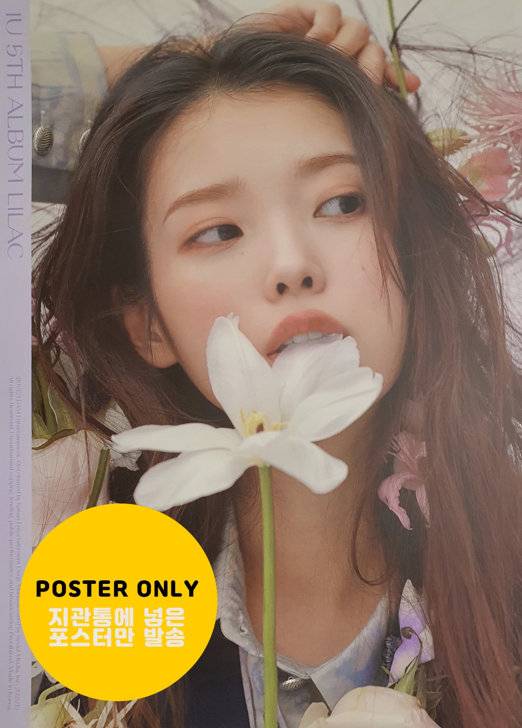 IUのミニ6集アルバムザウィニングThe winning 2種セット_初回限定/ポスタープレゼント終了