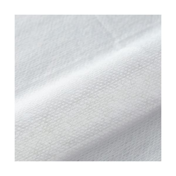 （まとめ）TANOSEE レーヨンメッシュおしぼり平型 1セット（100枚：50枚2パック）20セット