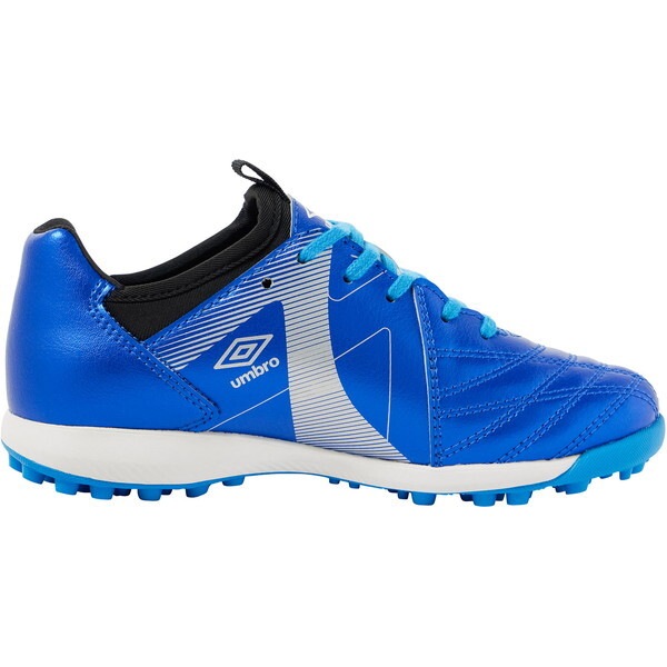 ジュニアサッカーシューズ アクセレイター TR J WD ガイナ ブルー 22.0cm UF5FCST6J BLSV ジュニアサッカーシューズ アクセレイター TR J WD ガイナ ブルー 22.0cm UF5FCST6J BLSV