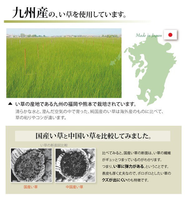 Qoo10] 純国産/日本製 双目織 い草上敷 『ほほ