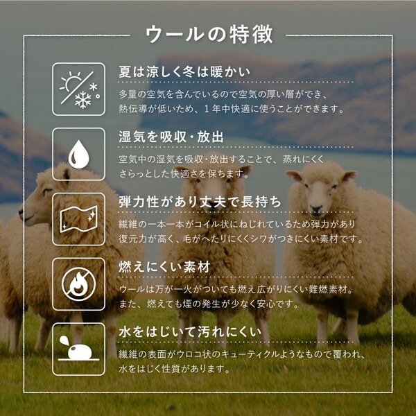 270035080 GABBEH D24 40×120 メーカー直送 270035080 GABBEH D24 40×120 メーカー直送