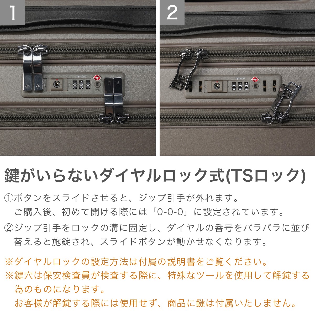 正規品10年保証 スーツケース 機内持ち込み かわいい ストッパー付き TSA フロントオープン フロントポケット 40L 3泊4日ネコ柄 HAyU×ace. HAyU セダム 09081_5