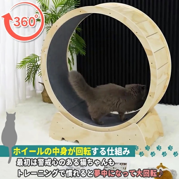 キャットホイール 猫専用ルームランナー 猫 回し車 猫ホイール 室内運動用 ホイール ローラー 自走式 ルー_2