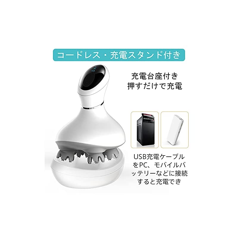 電動ブラシ 振動 IPX7防水 日本3D技術 乾湿両用 浴室利用コードレス 10分定時オフ 男女兼用_6