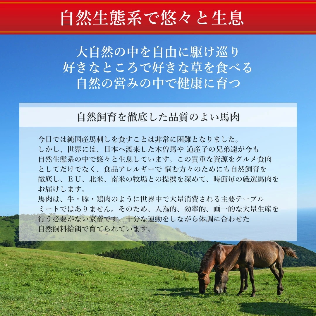 若丸 5種の馬刺しセット 馬刺し 低脂肪 高タンパク 日本料理 健康 美味しさ 手作り 新鮮 タレ_18