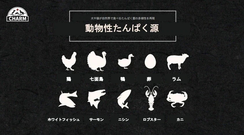 CHARM（チャーム）キトゥン1kg キャットフード 正規品 ペットフード 全猫種 オールステージ 全ライフステージ ねこのごはん 猫のご飯 穀物不使用 無添加 ペット用品 ペット 猫 ねこ ネコ