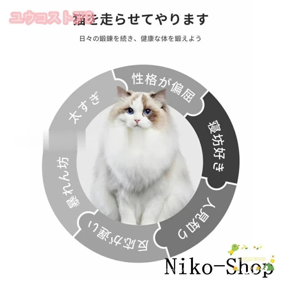 【メガ割 】【福袋】 猫 トレッドミル キャット ホイール キャット運動 鍛錬 ローラー ランナー 回し車 観覧車 ランニングホイール ペット省スペース ストレス解消6 【メガ割 】【福袋】 猫 トレッドミル キャット ホイール キャット運動 鍛錬 ローラー ランナー 回し車 観覧車 ランニングホイール ペット省スペース ストレス解消6