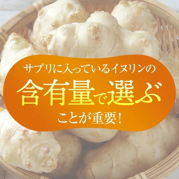 菊芋サプリ 【公式】 トピのチカラ30包 粉タイプ サプリメント イヌリン オーガニック