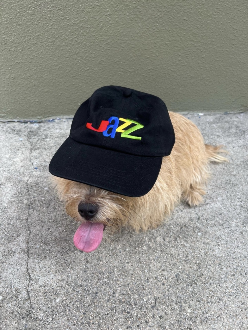 RIIZE アントン 着用ユニセックス/JazZ Hat/キャップ