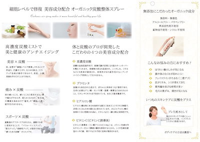最安価格 炭酸整体スプレー(WHITE) 2本セッ : スキンケア 2023国産