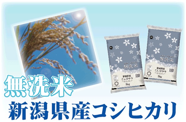 令和6年産 無洗米 新潟県産コシヒカリ 5kg お米マイスター厳選 HACCP認定工場 SI